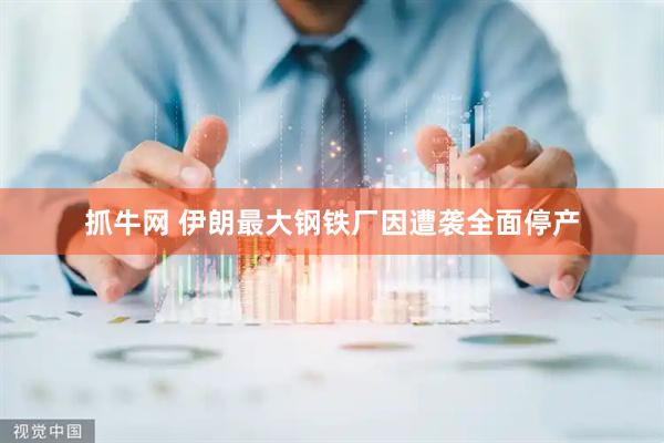 抓牛网 伊朗最大钢铁厂因遭袭全面停产