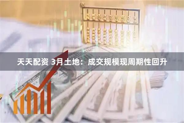 天天配资 3月土地：成交规模现周期性回升